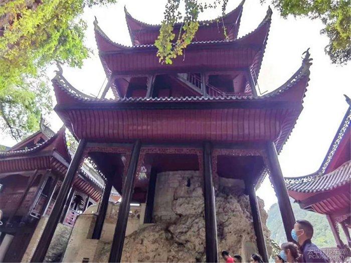 牛羊进城!青海泽库推介“高原年货”